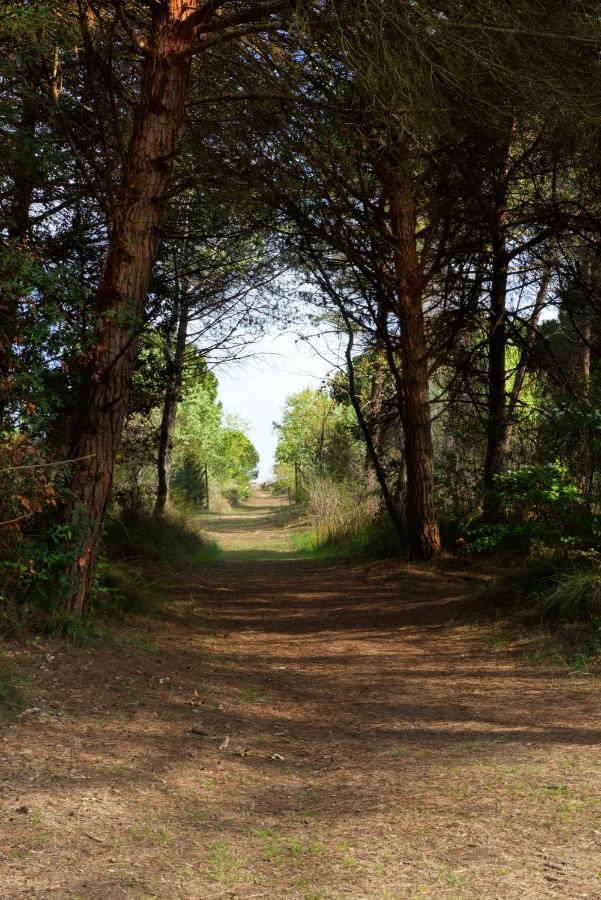 Natura Cavallino-Treporti Exteriör bild