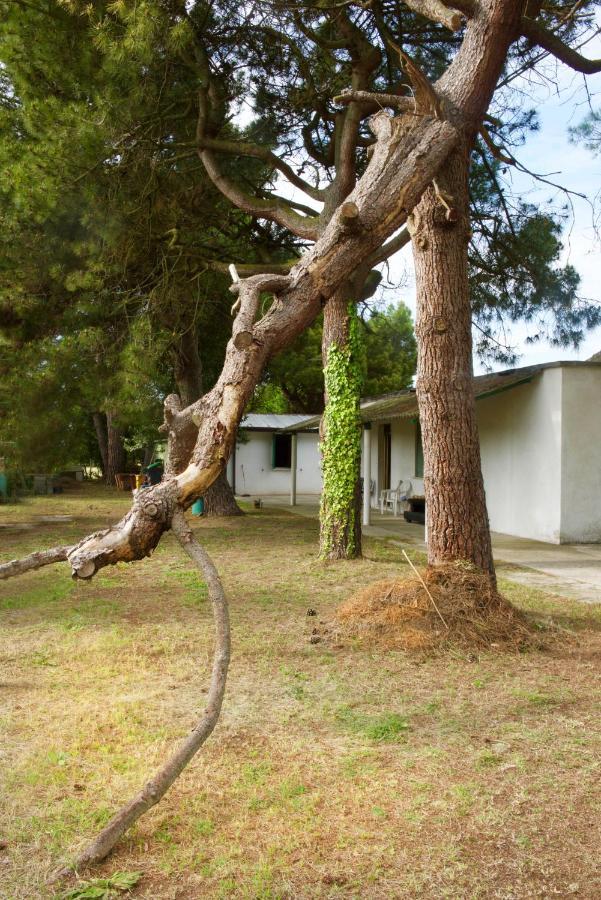 Natura Cavallino-Treporti Exteriör bild